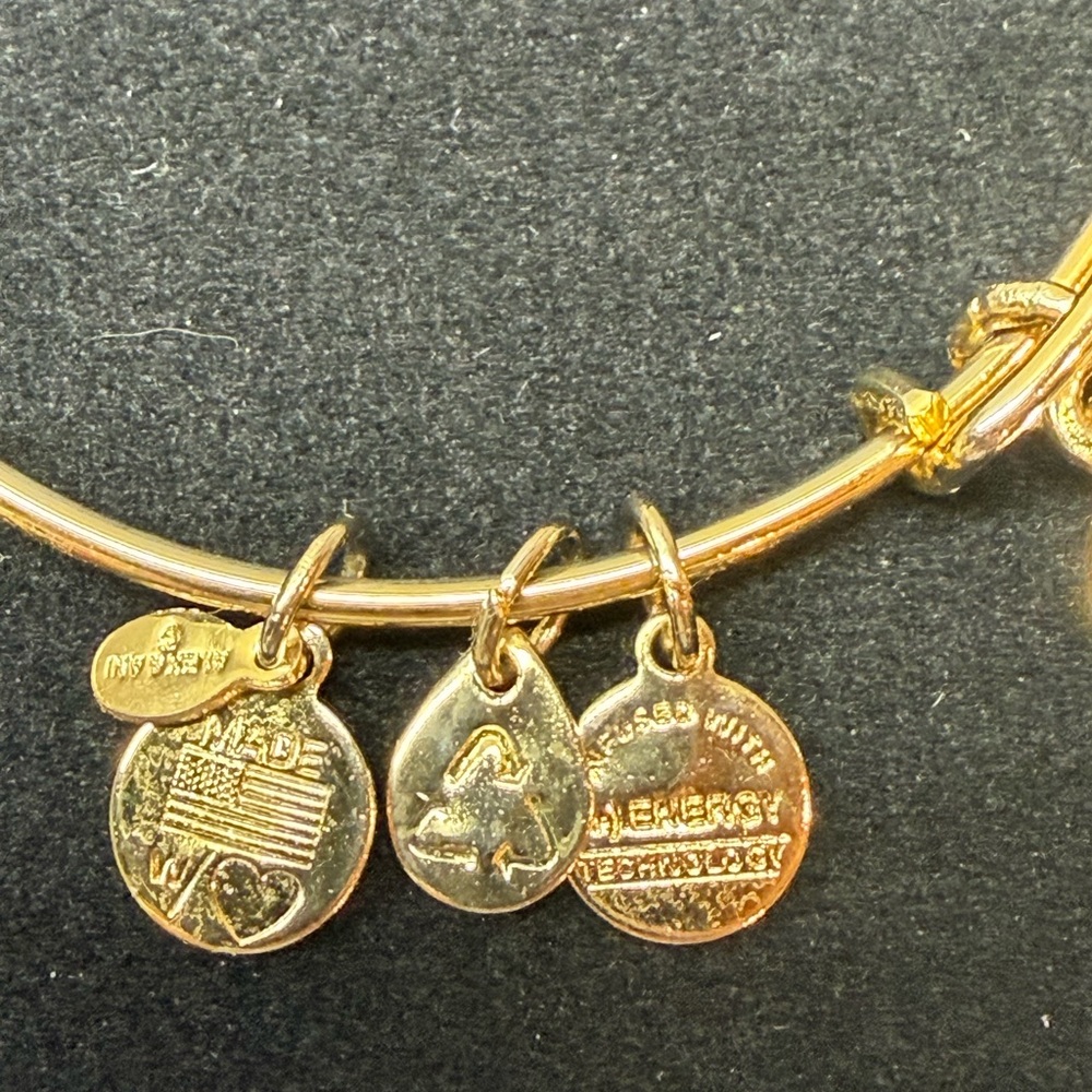 Alex and Ani Gold Tone Energy Charm Bangle Bracelet-7.5”